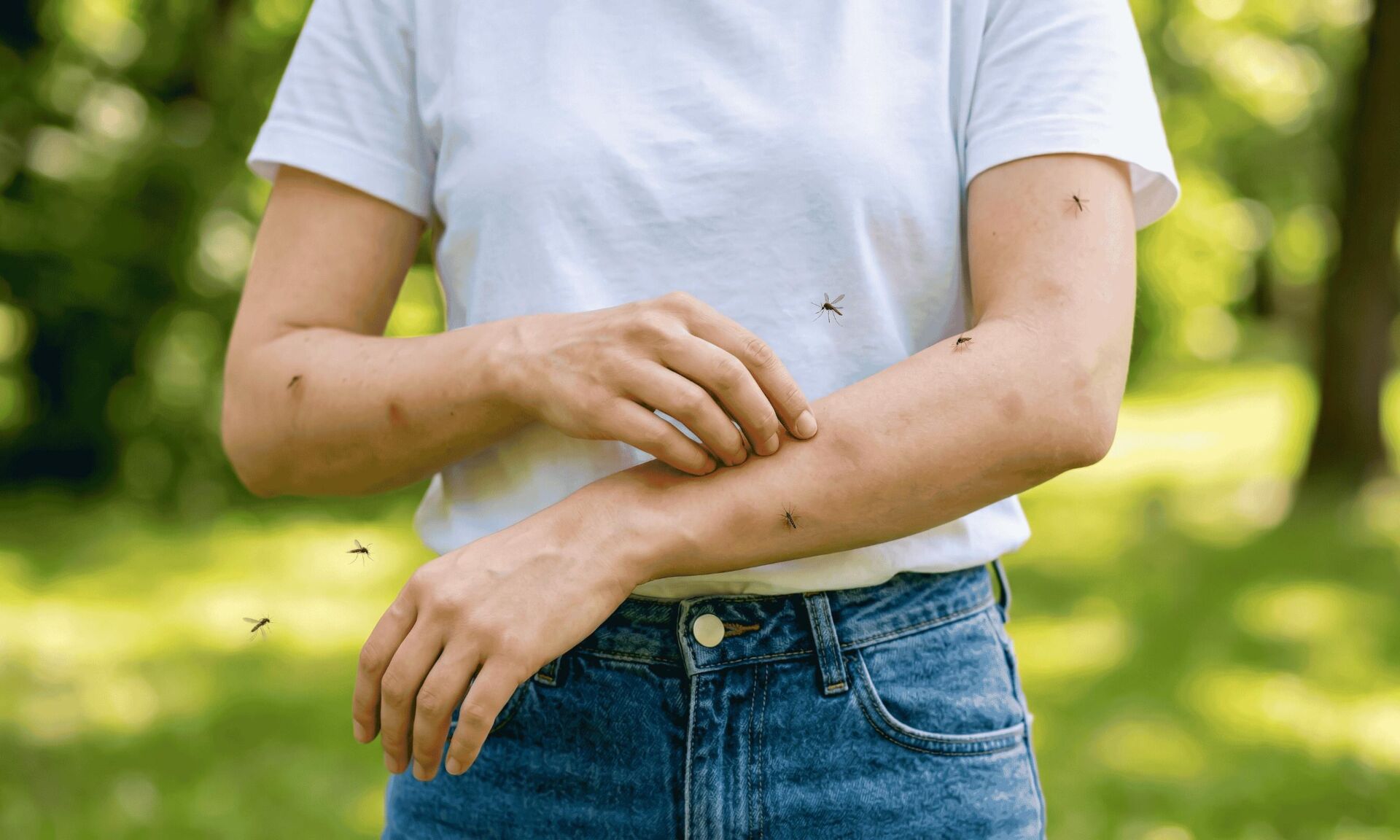 Plant-Based Natural Bug Repellents