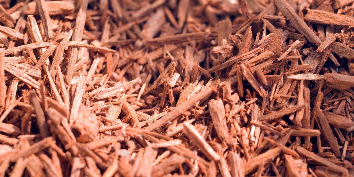 dried sandalwood