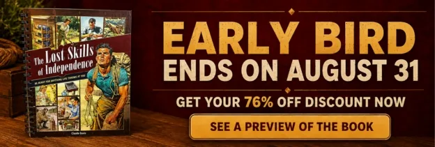LSI-banner-early-bird-offer-See-a-preview-of-the-book.jpg
