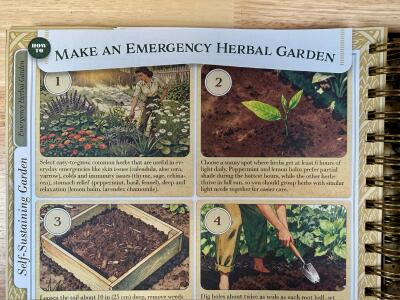 how to make an emergency herbal garden LSI