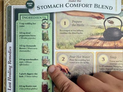 stomach comfort blend LSI